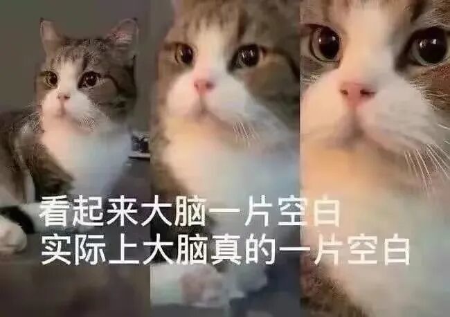 完了，死档了 2