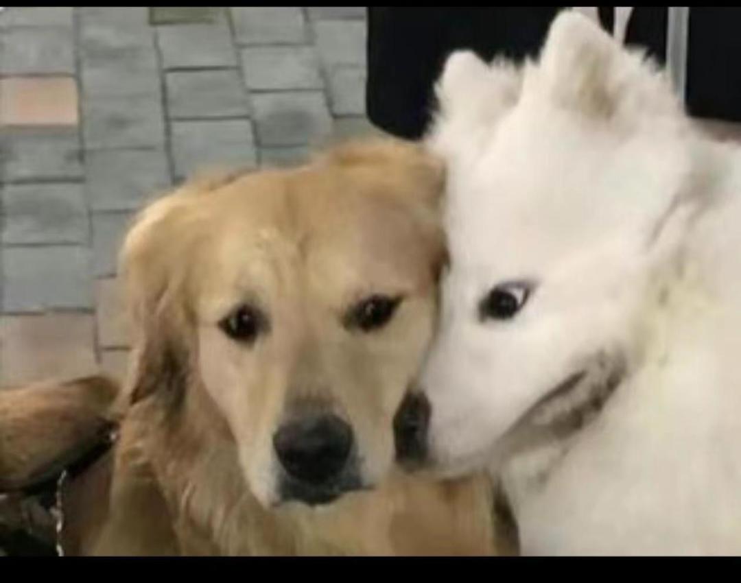 ?我扫荡呢??? 2