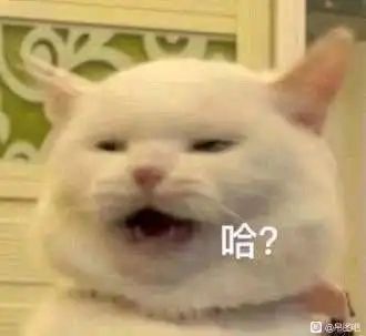 游侠到此为止了,真是纯纯的赌狗职业。 2