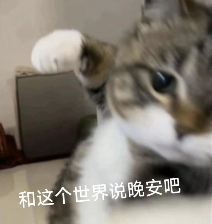 云雀的个人作品星图导航截图