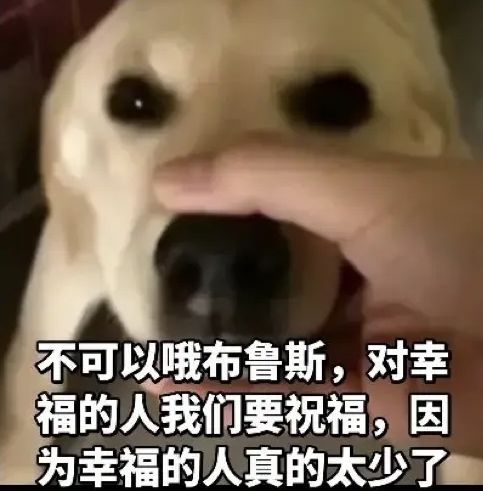 求仙道重聚激活码 1