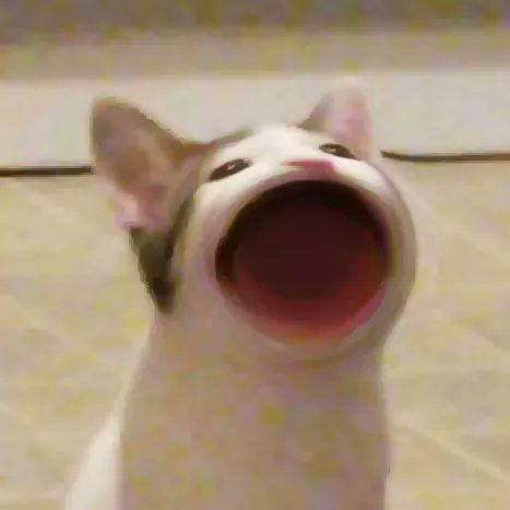 [攻略：金猫流]一百年纪念，存款近四千万！！截图
