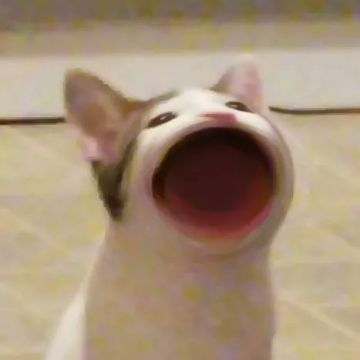 [攻略：金猫流]一百年纪念，存款近四千万！！