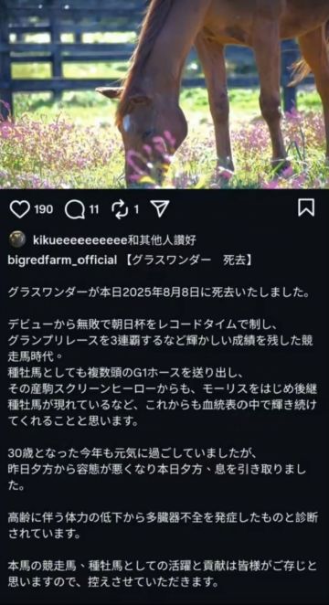 《赛马娘》原型角色草上飞于今日下午离世