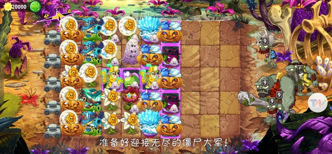 这个阵容打恐龙无尽咋样 1