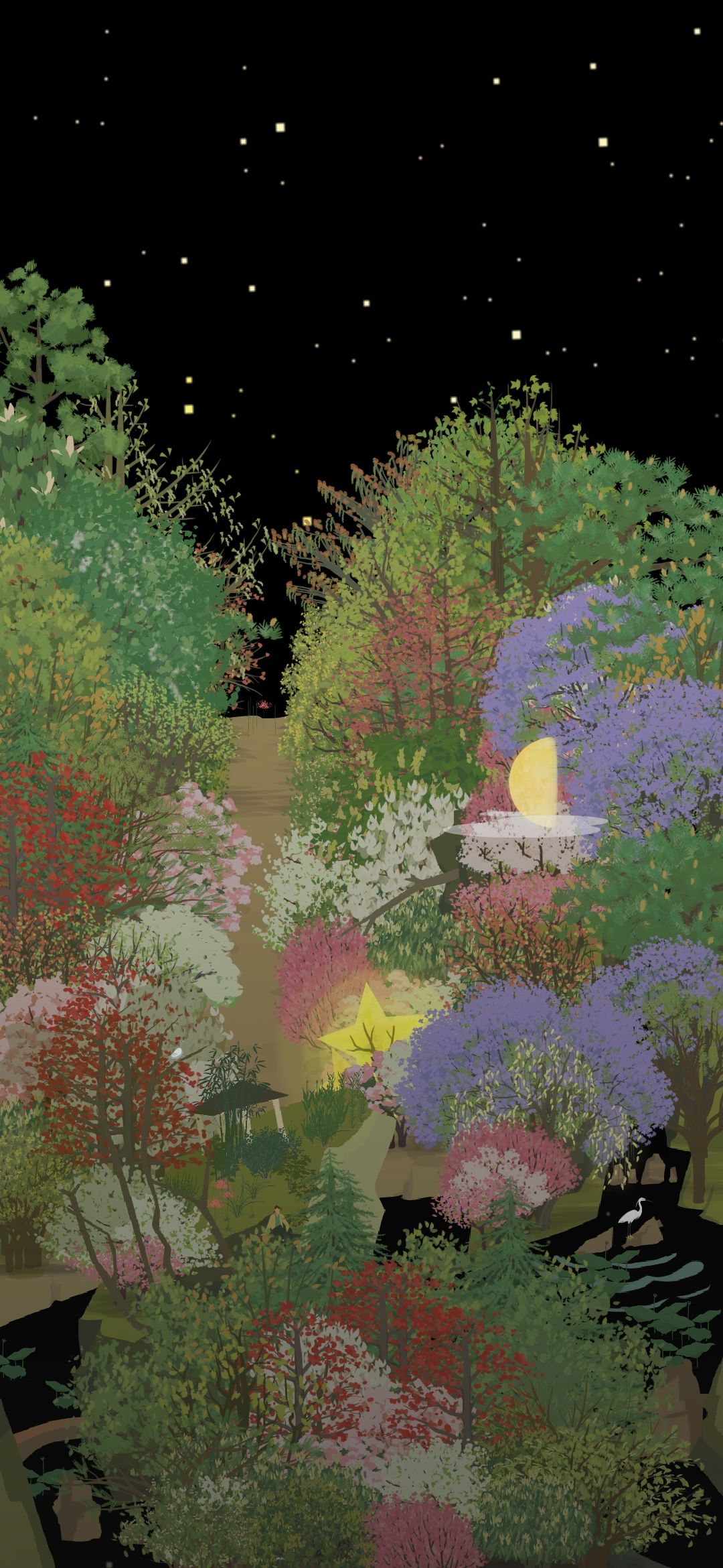 蓝花楹开了 1