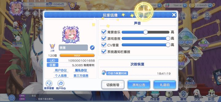 满级留念截图