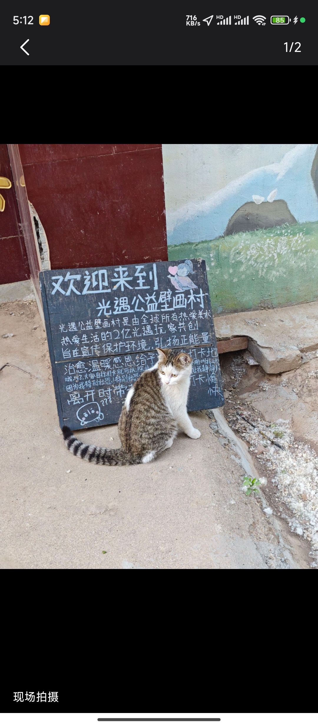 感谢0d00的全赞支持 2