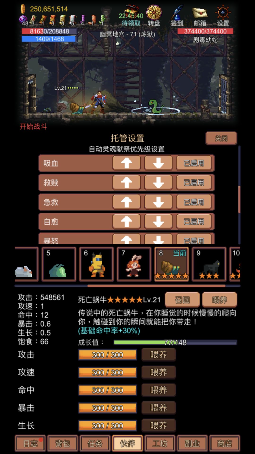 宠物玩法 2