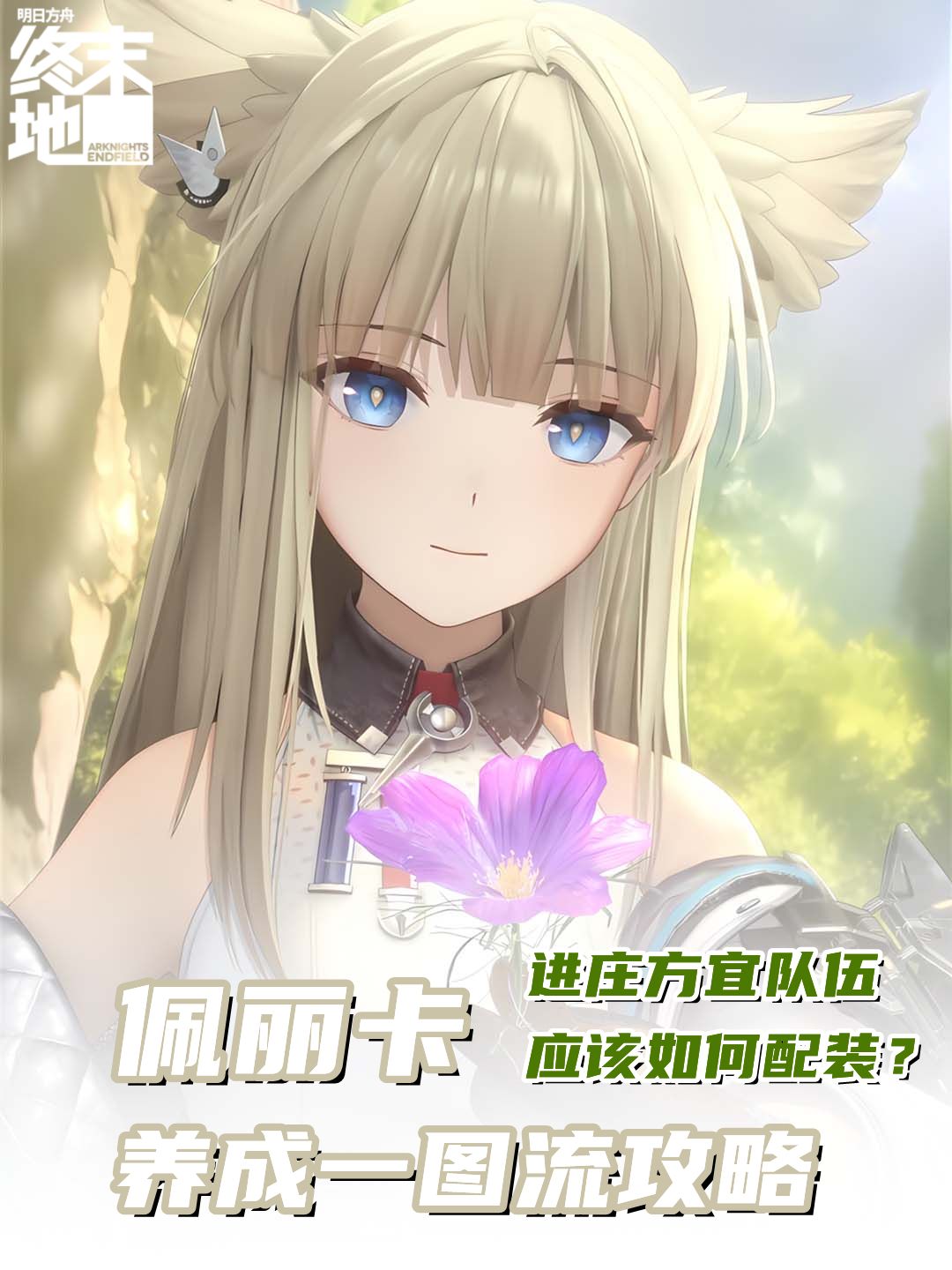 佩丽卡进庄方宜队如何配装？一图流带你看懂截图