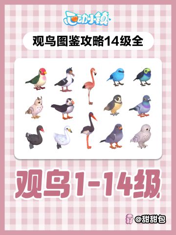 观鸟1-14级图鉴攻略(最新完整版)