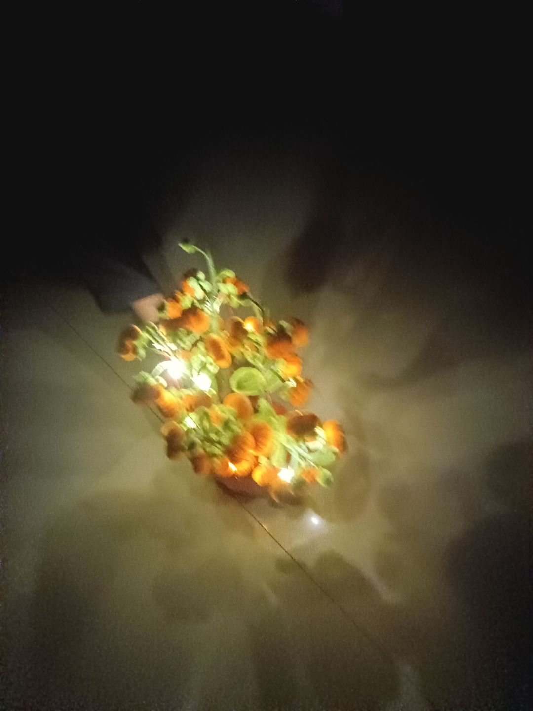 动态图片 10