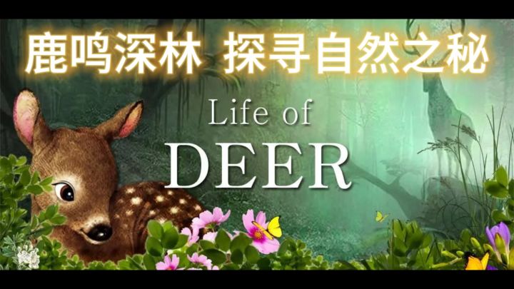 《鹿的一生》——野性之诗，成长之旅截图