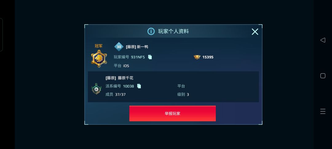 🐶shi匹配 3