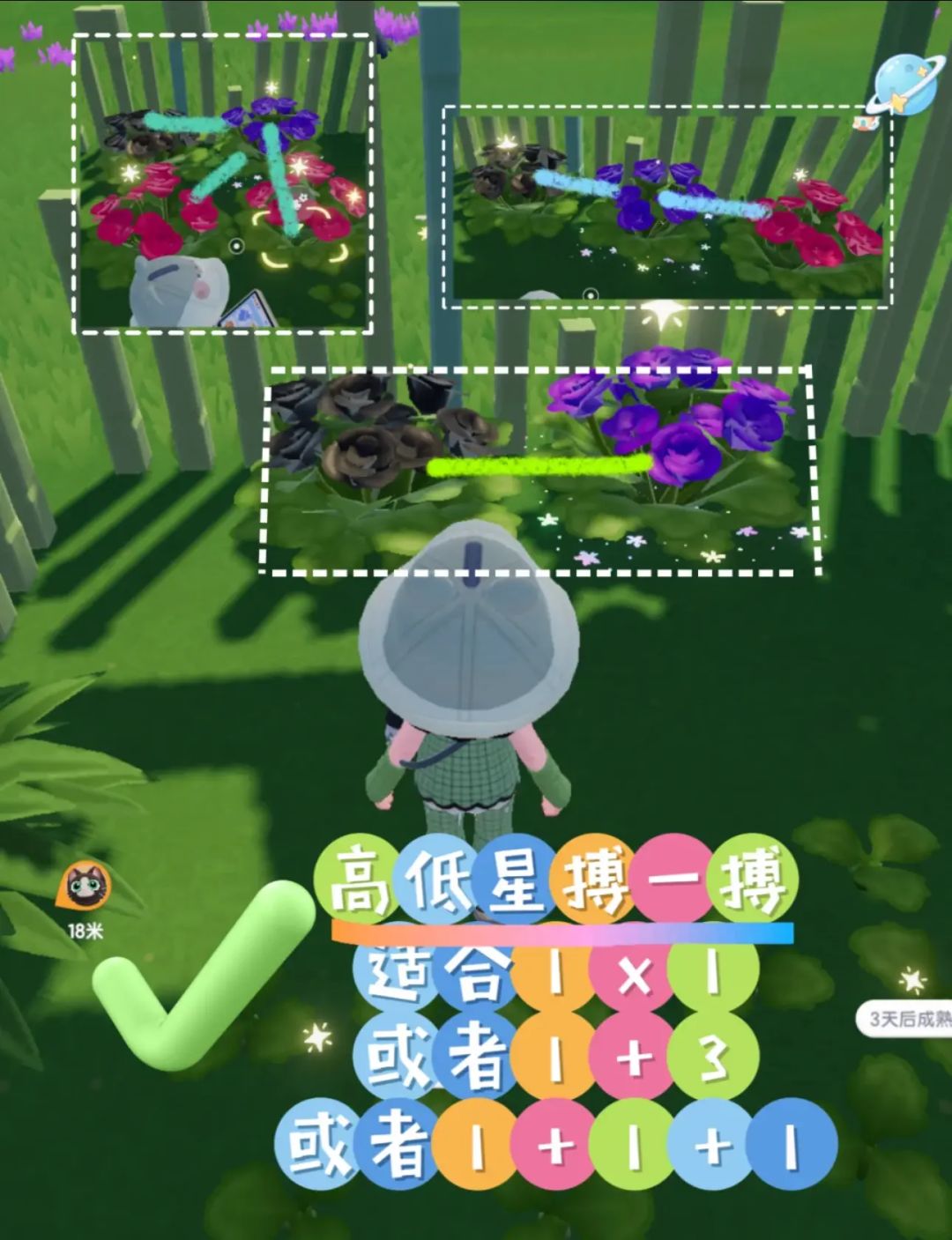 园艺全攻略 | 迎春花风信子蝴蝶兰通用 2