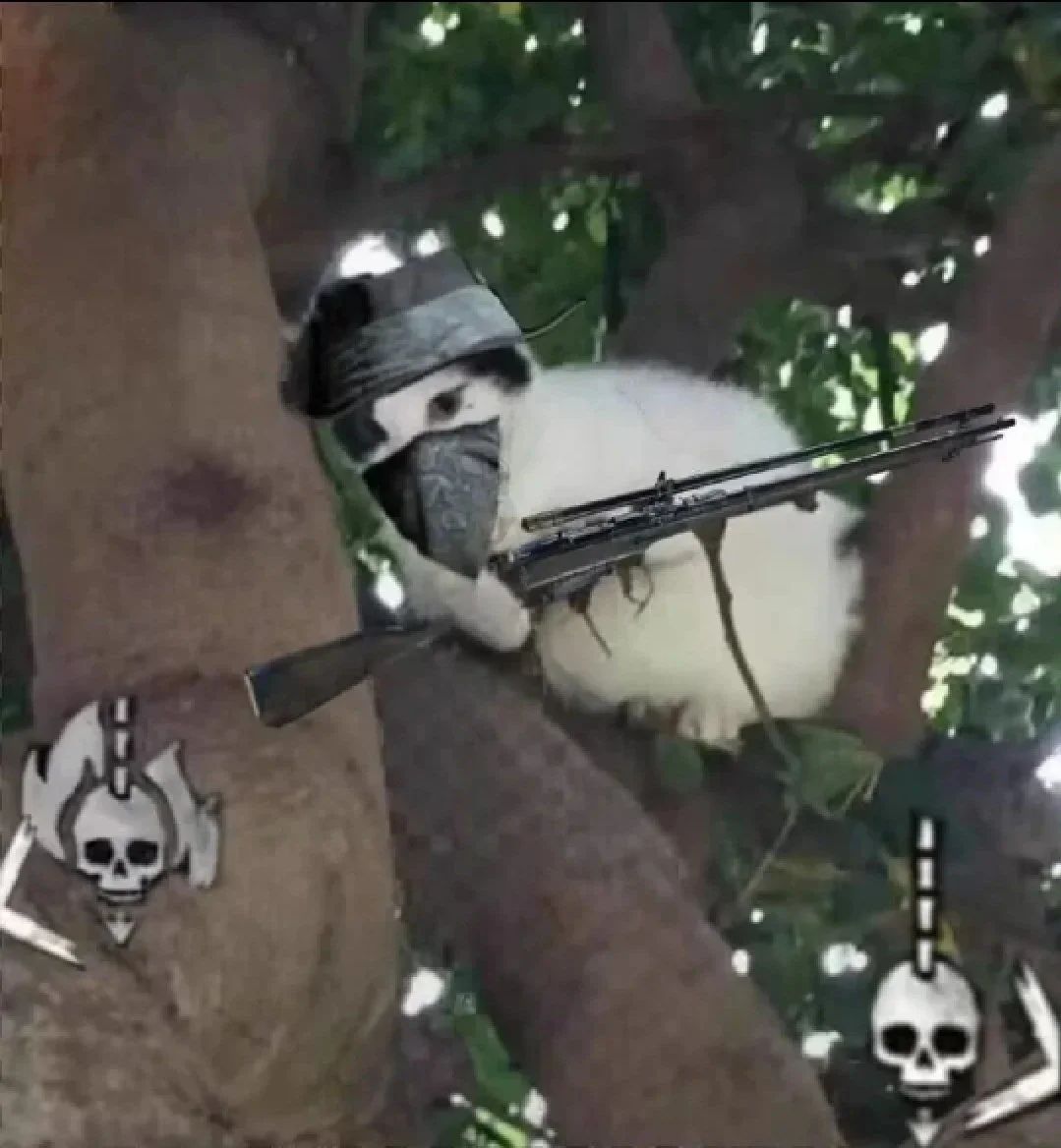 猎杀对决快两百小时浅评 1