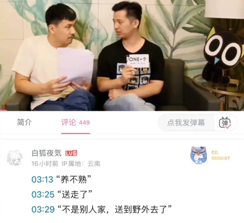 《罗小黑》原型黑猫竟早被作者扔到野外? 1