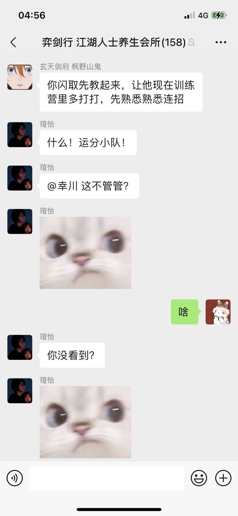 动态图片 8