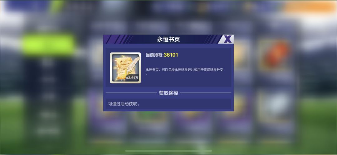 六总:雨季到了,意大利套的书页正在发霉 2