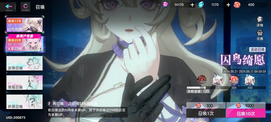 猫之城?爱玩🥰 2