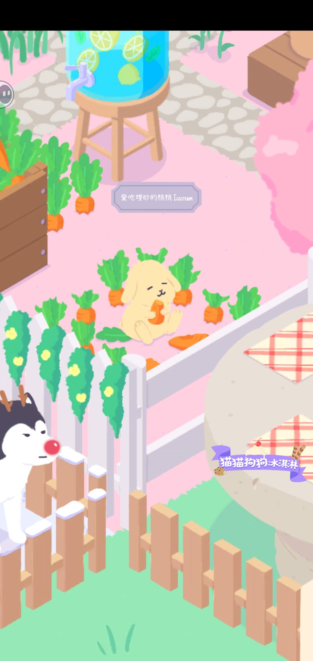 发帖领猫猫大礼包 2