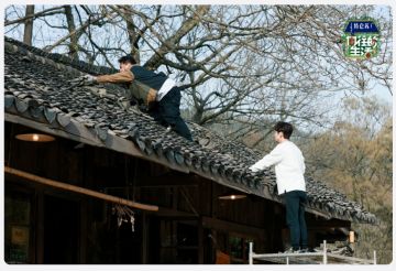 第七季何老师和黄老师化身“修屋匠”，
作为“致敬”，
在我们游戏里，各位村长们也得亲手修理蘑菇屋。
今晚十点不要忘记看综艺噢！搬好你的小板凳！