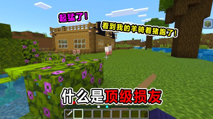 什么是顶级损友!起猛了!看到我的羊骑着我的猪跑了!截图