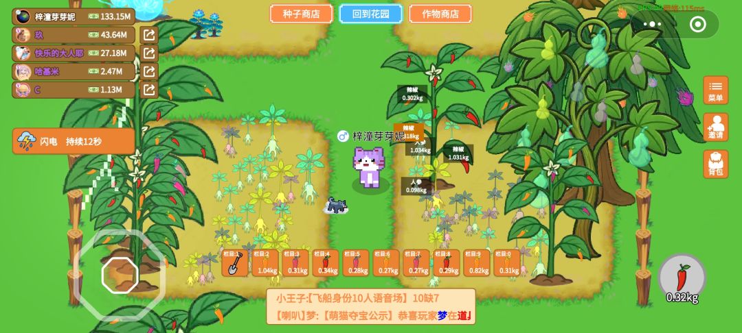 人参果 2