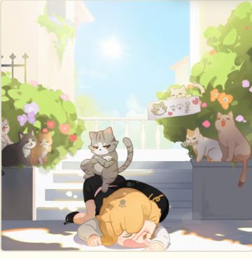 猫猫的区别对待