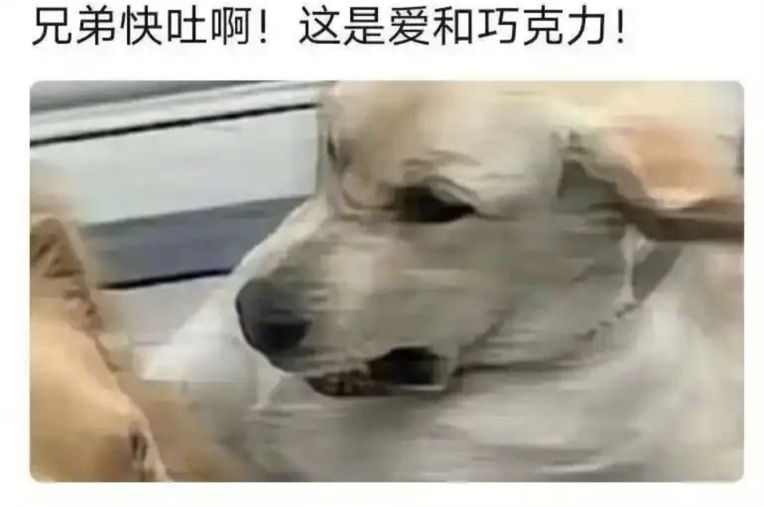 发一波梗图…(6) 1