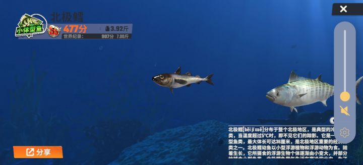#欢乐钓鱼大师六一最小鱼获#目前最小三个鱼获：🎈🎈
第一名：来自白令海渔场北极鳕，3.92斤，获得477分，最像鱼骨的小鱼🐟🐟
第二名：来自科莫多岛标枪鱼，4.01斤，获得488分。🐟🐟🐟
第三名：来自亚马逊河图丽鱼，4.12斤，获得491分。[二哈][二哈]@欢乐钓鱼大师 #欢乐钓鱼大师[超话]# ​​​#欢乐钓鱼大师 #欢乐钓鱼大师六一最小鱼获截图