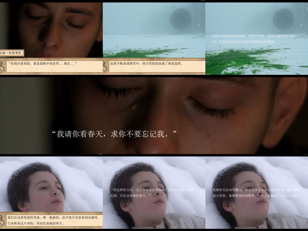 利安德——绿色的冬天 3