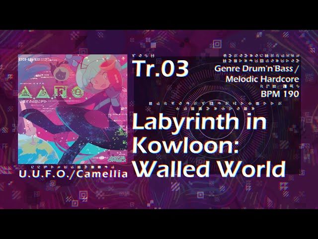 video-4053994