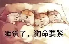 大家预约的礼包码收到了么? 1