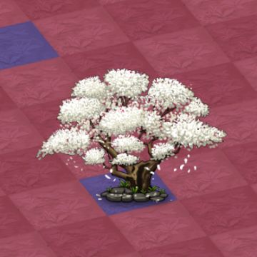 奇迹介绍--第二十三大奇迹、第二十四大奇迹、第二十五大奇迹