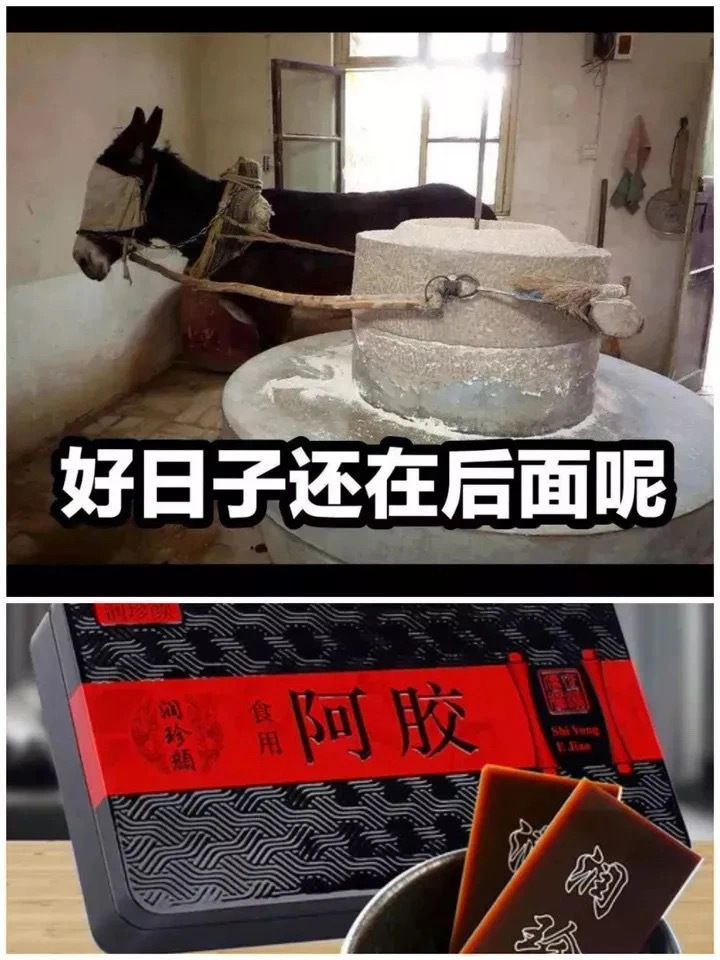 17年的时候 3