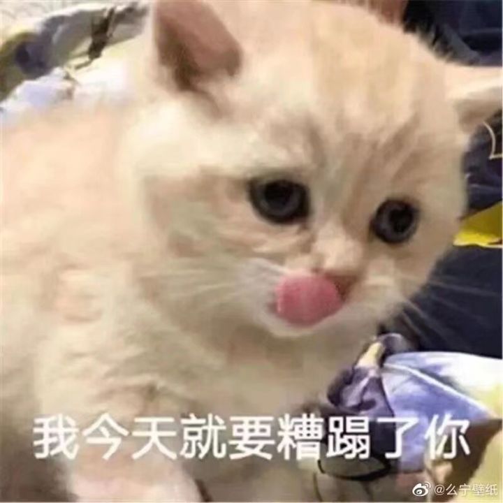 原神启动截图