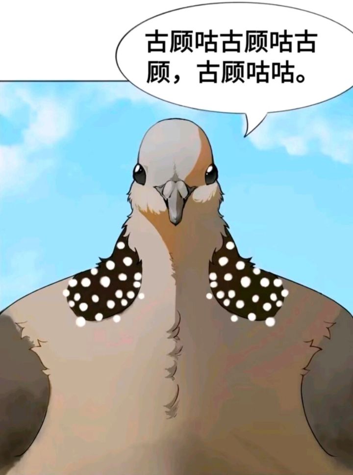 我们也有自己的吧宠截图