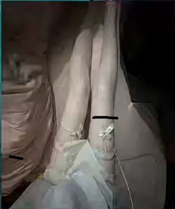 动态图片 15