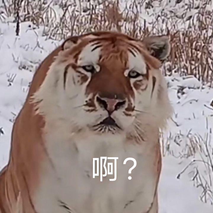 就算有两卧龙凤雏给你兜着你也不能这么搞啊截图