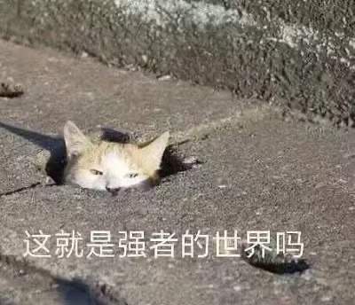 终于到大佬零头了 2