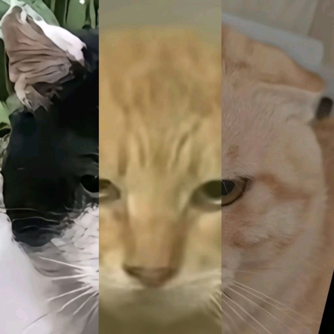 求个传承码 1