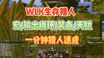 魔兽WLK猎人，一分钟速成（宏/天赋/宠物/输出循环）