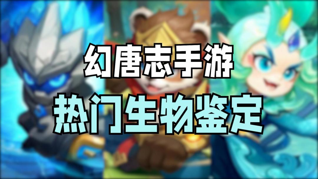 video-4050620