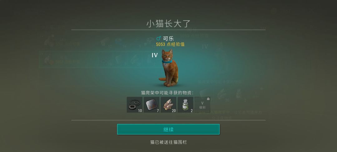 第二只猫也是拉完了 1