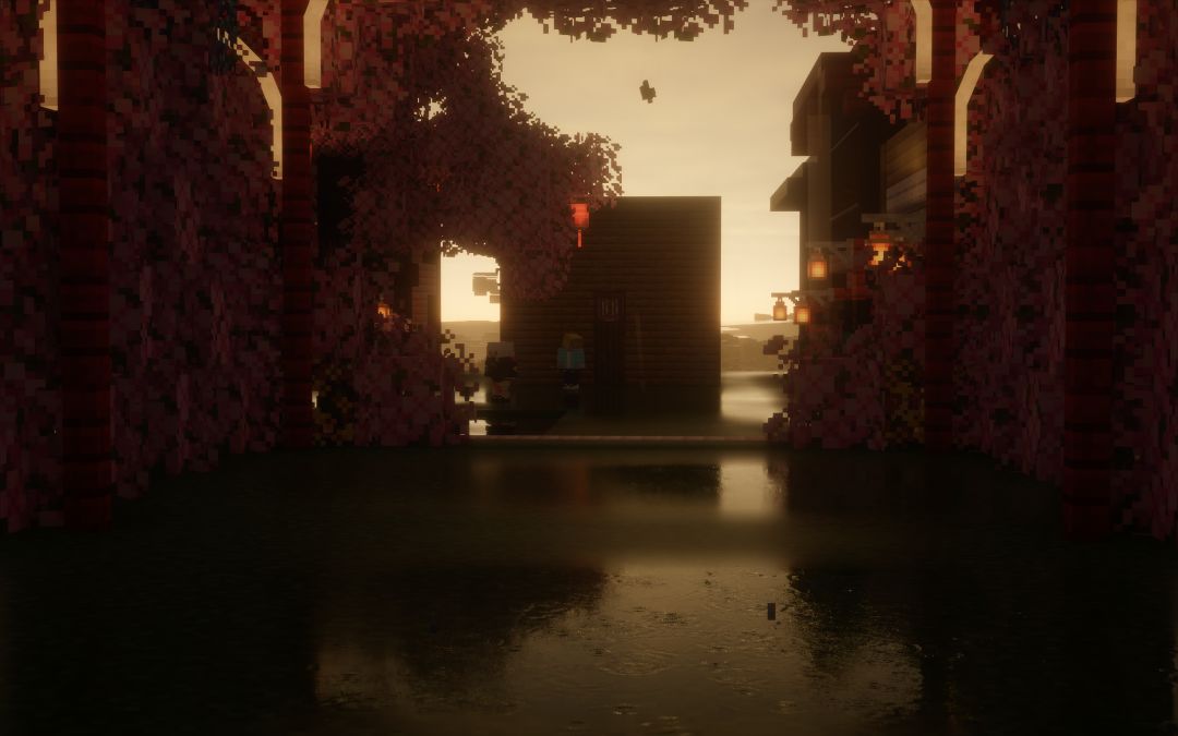 Hallo Minecraft 11