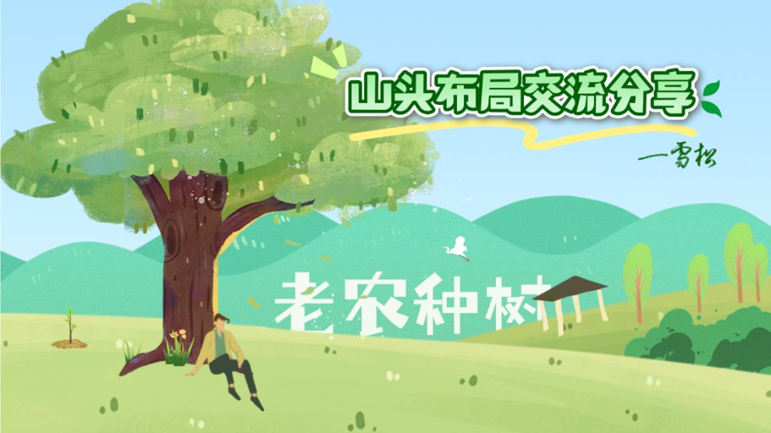 山头布局交流分享（“树组”篇，一起来分享想法吧！）截图