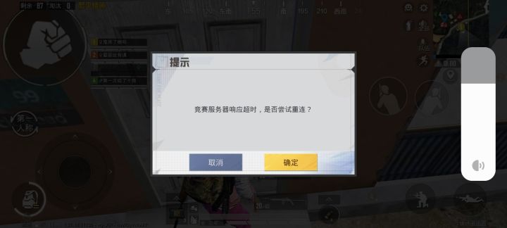 我这是什么鬼?打架的时候蹦这个,每局都出截图