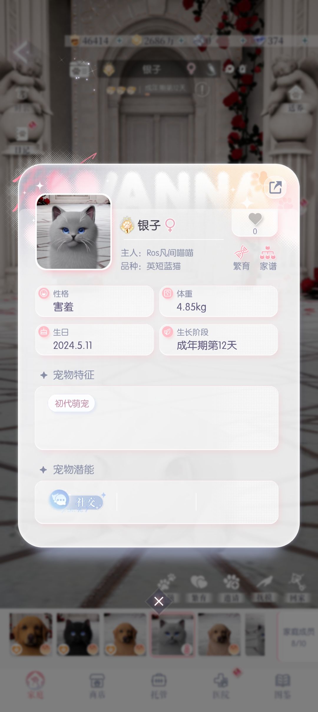 话说你们初始的宠物怎么办,都送养了吗? 1