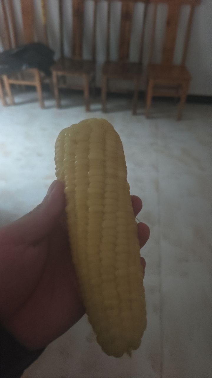 减肥的日志不好过截图